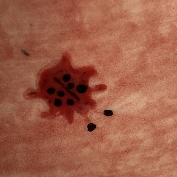 Glazed Ladybug Bowl Hand-painted Preowned - Picture 5 of 11